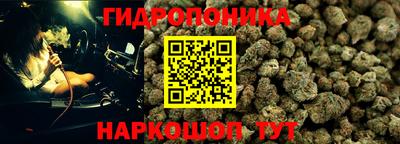 СК Пушкино