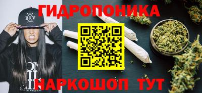 СК Пушкино