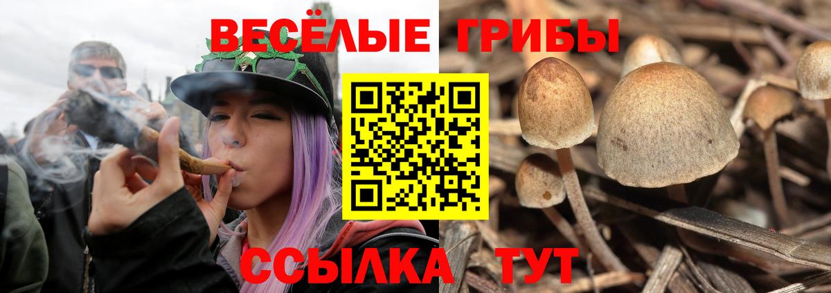 Полевской  Галлюциногенные грибы Cubensis  Вход с VPN 